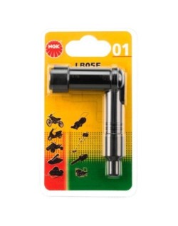 Antiparasite NGK LB05E